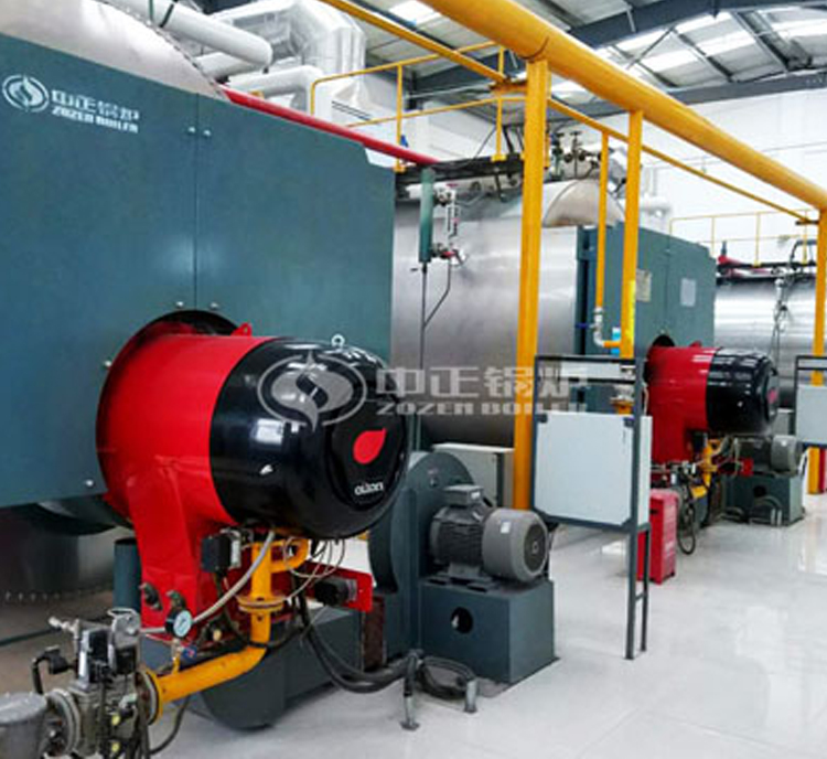 WNS10-1.25-Q，10吨WNS系列冷凝式燃气锅炉项目