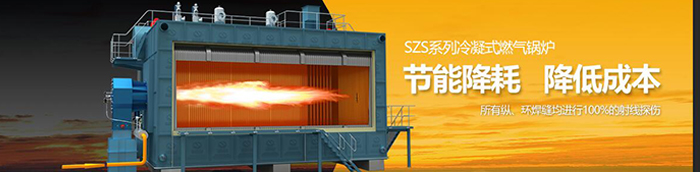 【乳制品行业】中正燃气蒸汽锅炉在再下一城